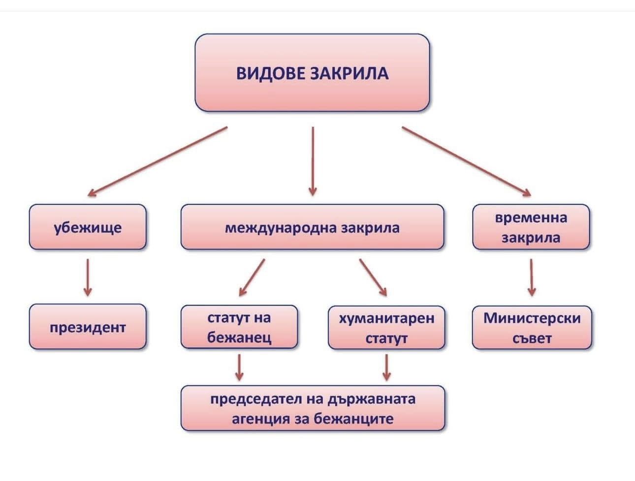 Refugee protection and asylum — international protection status